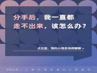 石家庄立策信息科技有限公司