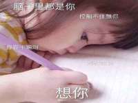 石家庄立策信息科技有限公司