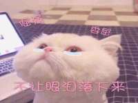 石家庄立策信息科技有限公司