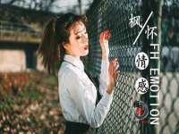 石家庄立策信息科技有限公司