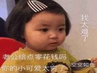 石家庄立策信息科技有限公司