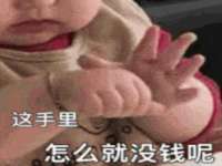 石家庄立策信息科技有限公司
