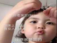 石家庄立策信息科技有限公司
