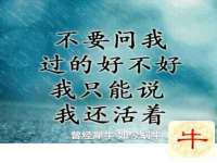 石家庄立策信息科技有限公司