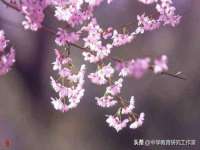 石家庄立策信息科技有限公司