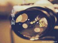 石家庄立策信息科技有限公司