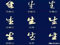 石家庄立策信息科技有限公司