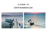石家庄立策信息科技有限公司