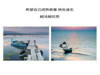 石家庄立策信息科技有限公司