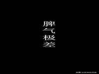 石家庄立策信息科技有限公司