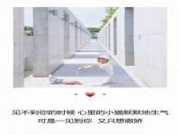 石家庄立策信息科技有限公司