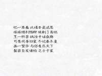 石家庄立策信息科技有限公司