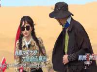 石家庄立策信息科技有限公司