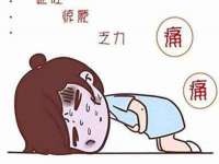 石家庄立策信息科技有限公司