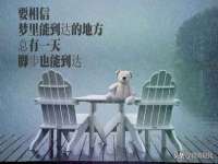 石家庄立策信息科技有限公司