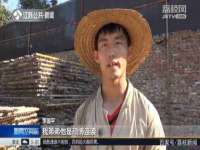 石家庄立策信息科技有限公司