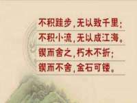 石家庄立策信息科技有限公司