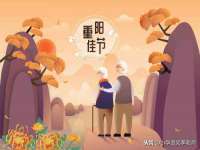 石家庄立策信息科技有限公司