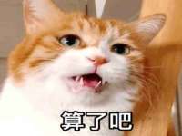 石家庄立策信息科技有限公司