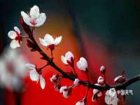 石家庄立策信息科技有限公司
