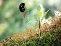 石家庄立策信息科技有限公司