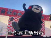 石家庄立策信息科技有限公司