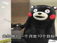 石家庄立策信息科技有限公司