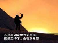 石家庄立策信息科技有限公司