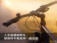 石家庄立策信息科技有限公司