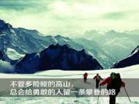 石家庄立策信息科技有限公司