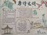 石家庄立策信息科技有限公司