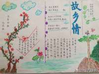 石家庄立策信息科技有限公司