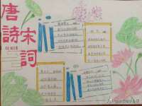 石家庄立策信息科技有限公司