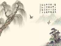 石家庄立策信息科技有限公司