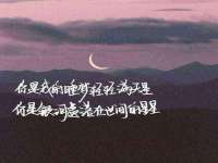 石家庄立策信息科技有限公司