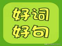 石家庄立策信息科技有限公司