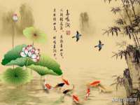 石家庄立策信息科技有限公司