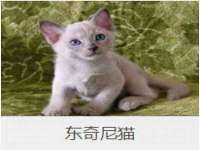 石家庄立策信息科技有限公司
