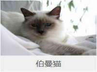 石家庄立策信息科技有限公司