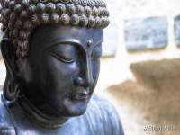 石家庄立策信息科技有限公司