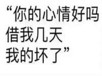 石家庄立策信息科技有限公司