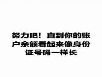 石家庄立策信息科技有限公司