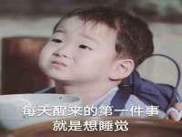 石家庄立策信息科技有限公司