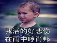 石家庄立策信息科技有限公司
