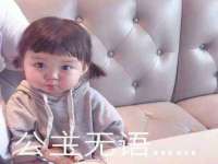 石家庄立策信息科技有限公司