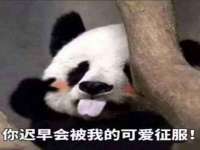 石家庄立策信息科技有限公司