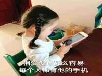 石家庄立策信息科技有限公司