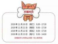 石家庄立策信息科技有限公司