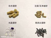 石家庄立策信息科技有限公司