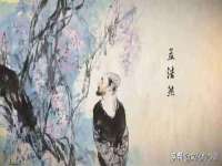 石家庄立策信息科技有限公司